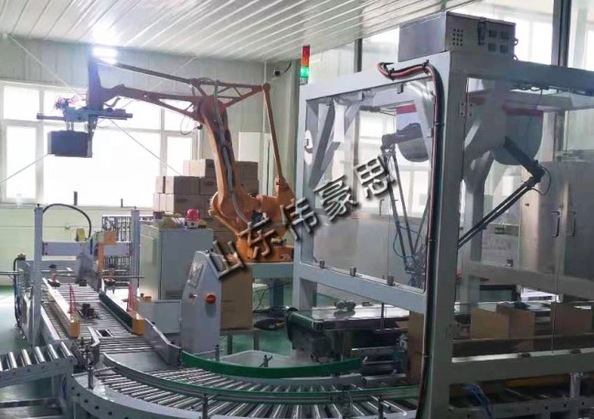 食用鹽裝箱碼垛設(shè)備現(xiàn)場(chǎng)