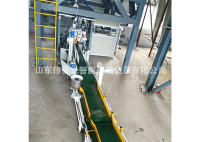 工業(yè)鹽自動包裝機 全自動包裝碼垛線