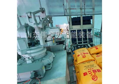 金屬鹽全自動碼垛機有哪些亮點？