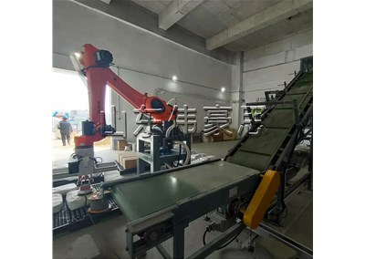 碳酸鈉智能拆垛機(jī)器人全自動(dòng)拆垛拆包系統(tǒng)